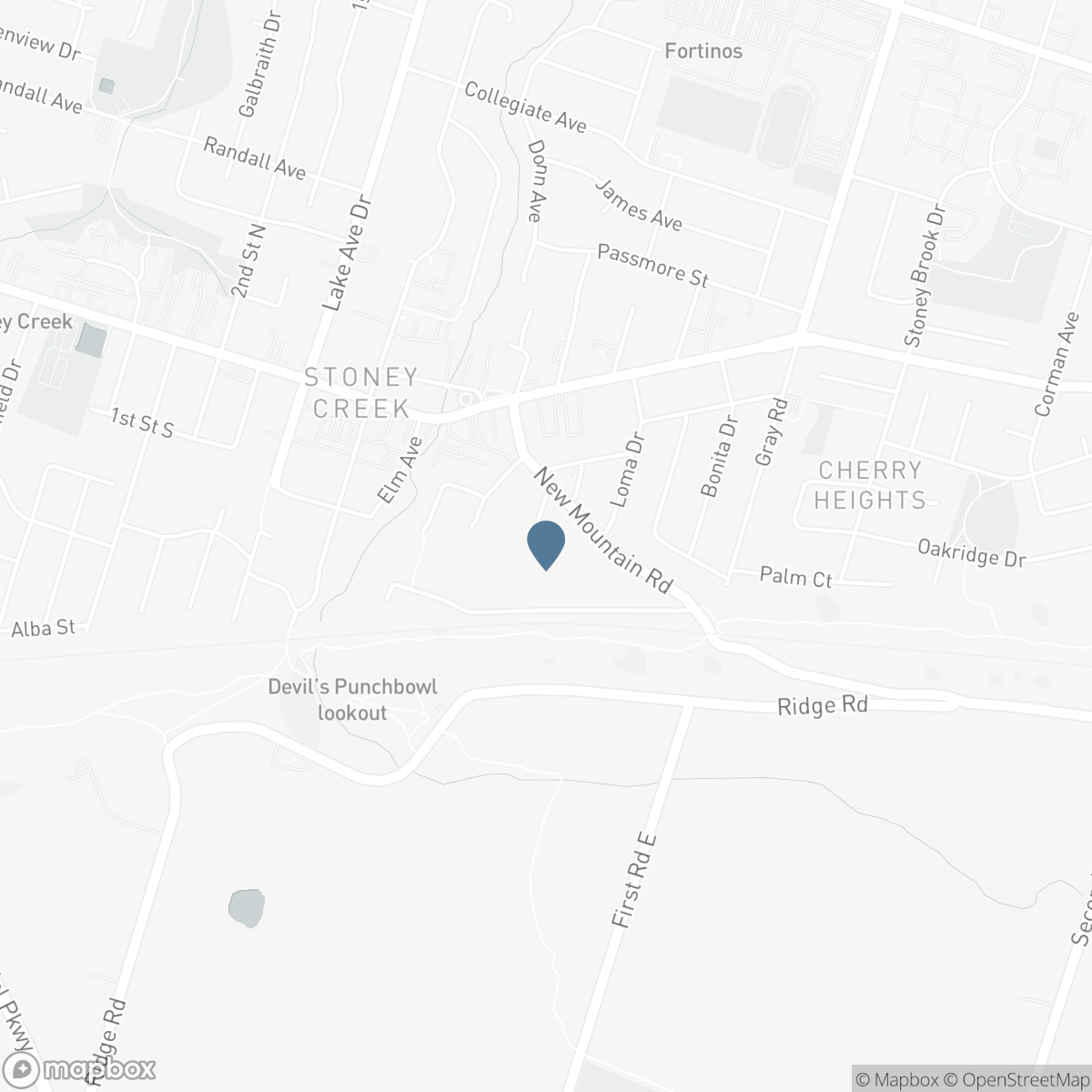 8 HILL Place, Hamilton, Ontario L8G 2W3